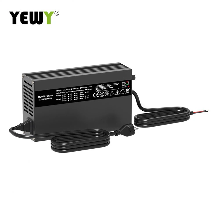 Electric Bike Battery Charger